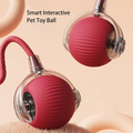 Bouncetug Play Ball – Interactive Pet Toy